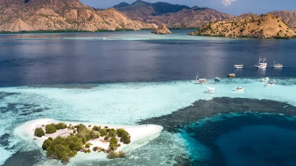 the greatest view of manta point labuan bajo