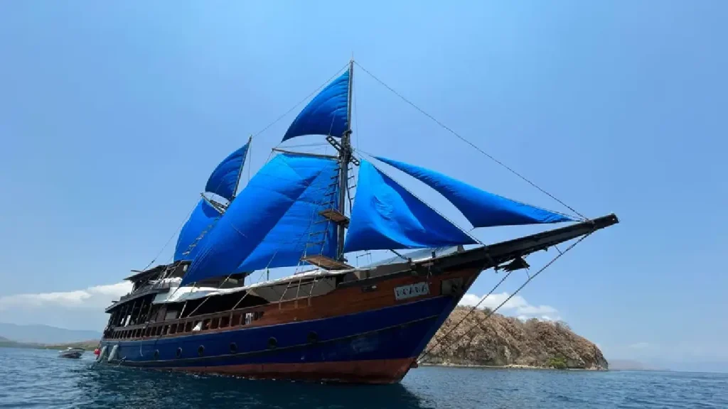 enjoy amazing komodo trip with moana cruising