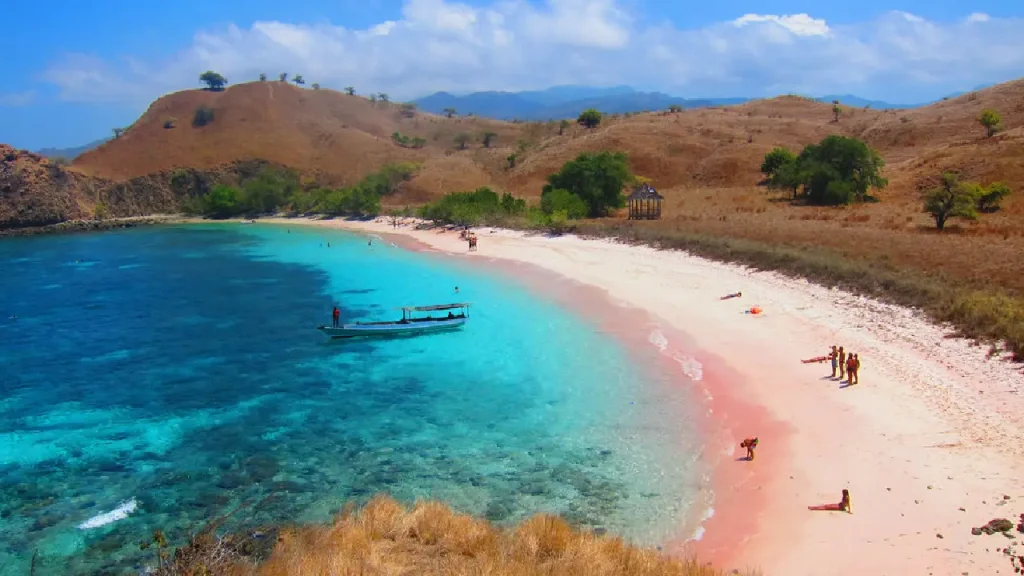 the best view of pink beach komodo island