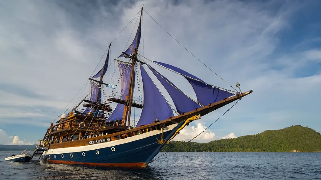 get your amazing boat trip with Sea Safari Cruise VI