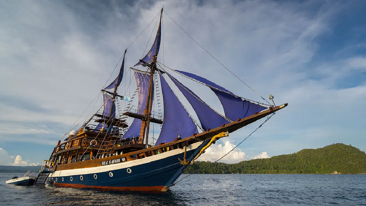 get your amazing boat trip with Sea Safari Cruise VI
