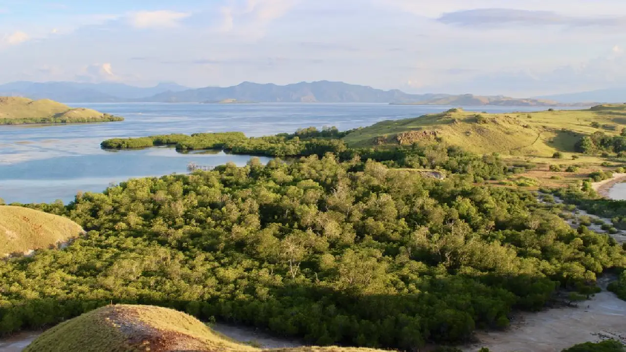 enjoy the view of sebayur